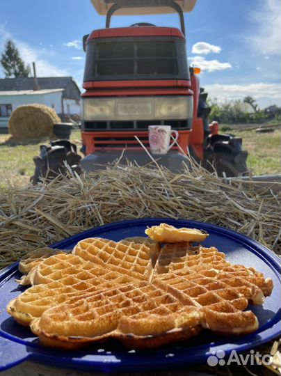 Мангалы, печи, казаны