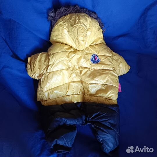 Комбинезон для собаки