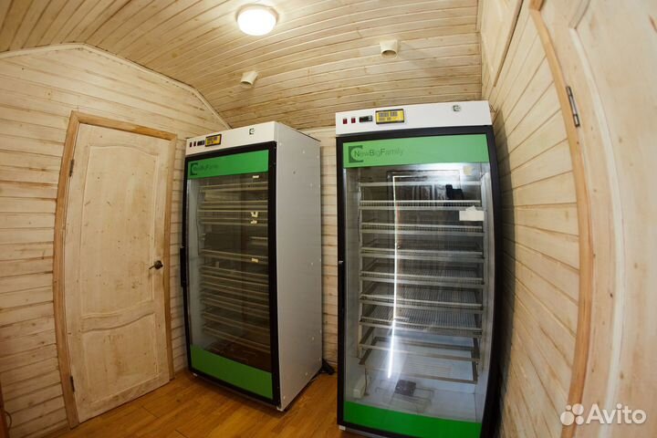 Усадьба фермерский бизнес птицеферма молодняка