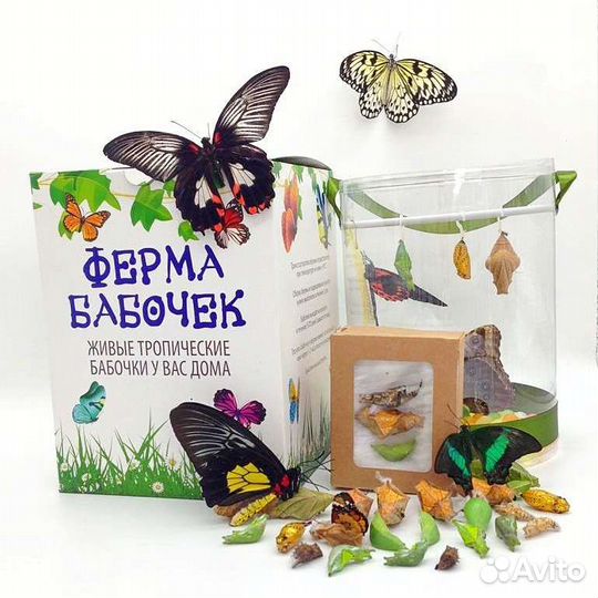 Ферма бабочек