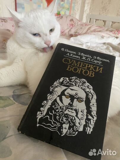 Сумерки богов 1989