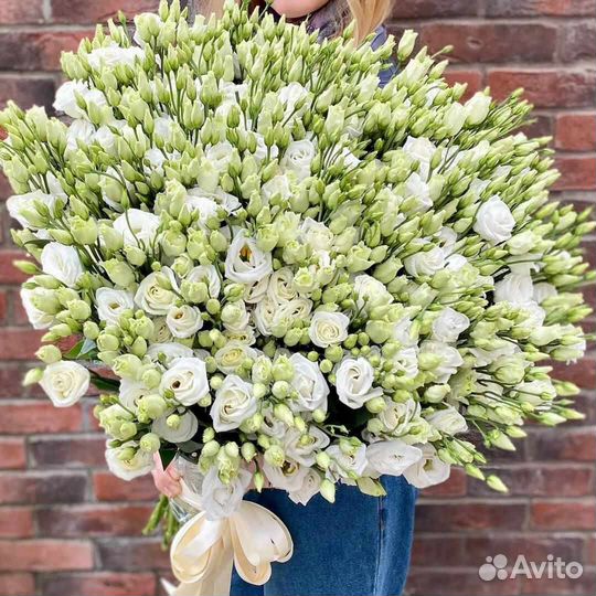 Эустома достака цветов Москва