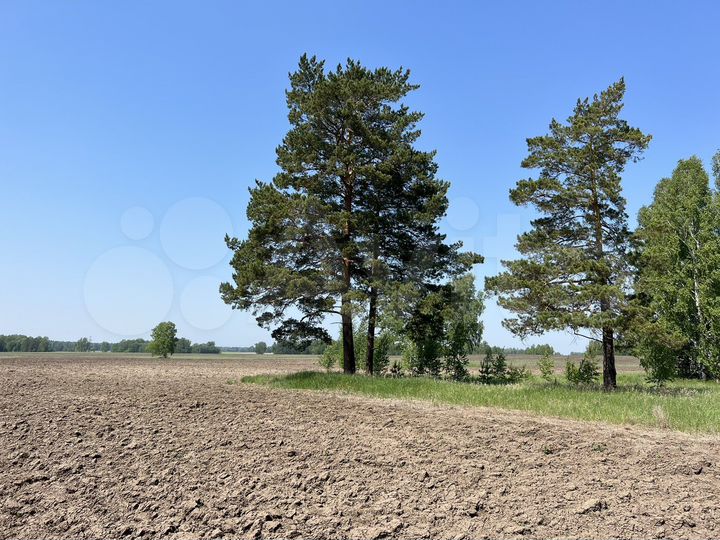 Участок 30 га (СНТ, ДНП)