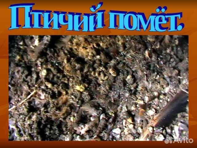 Птичий помет