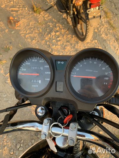 Альфа рх11lux