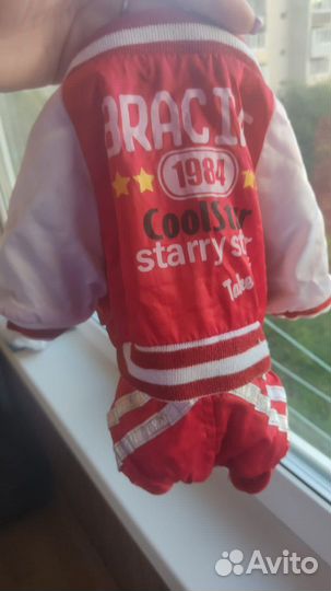 Одежда для собак пакетом