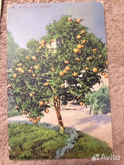 Почтовые карточки старинные европейские, пейзажи