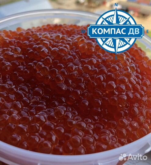 Красная икра Форели 250 г. в розницу в Москве