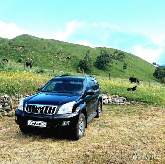 Индивидуальные экскурсии