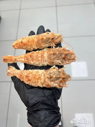 Креветки