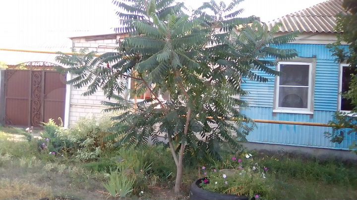 Дом 91 м² на участке 10 сот.