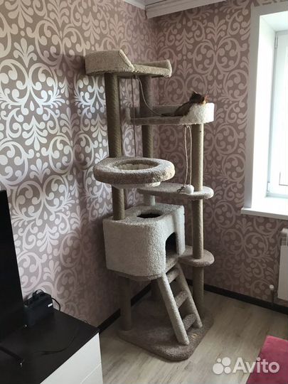 Комплекс когтеточка «Тридесятое царство»