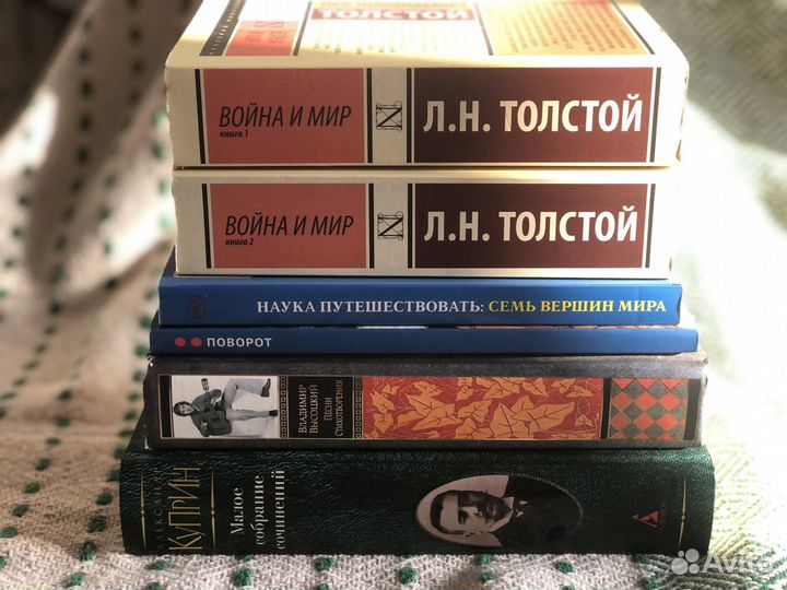 Книги — Толстой, Высоцкий