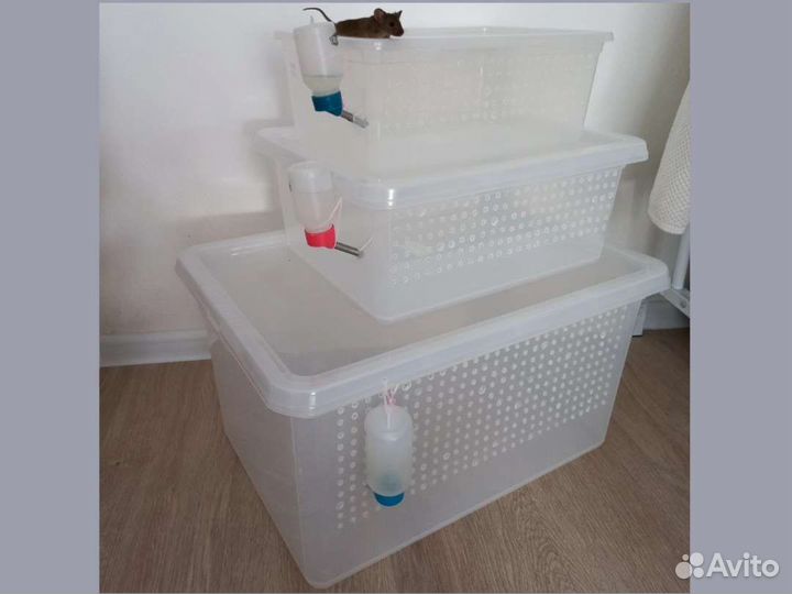 Террариум для грызунов