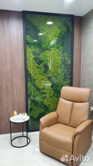 Фитостена Мох Озеленение