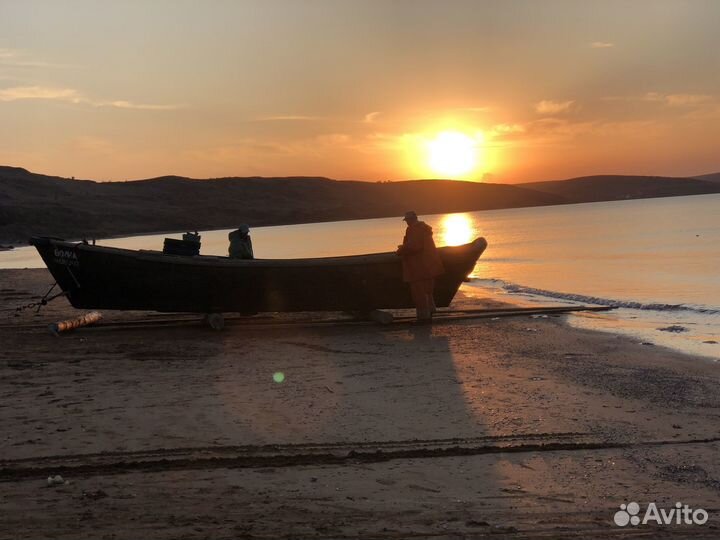 219 Жареная Барабулька кисти Анны Давыдченко