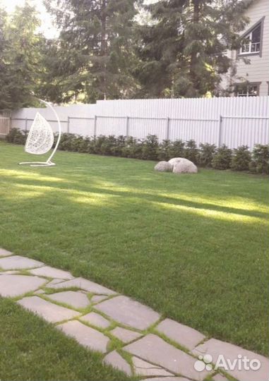 Рулонный газон от производителя