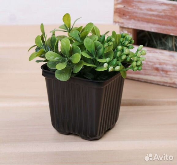 Горшки под рассаду