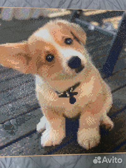 Картина корги алмазная мозайка