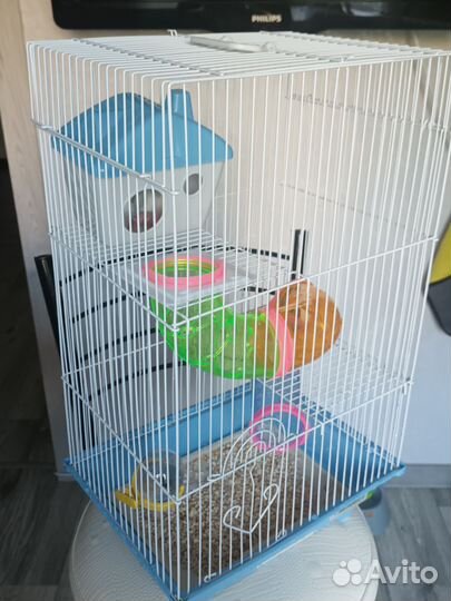 Джунгарский хомяк с клеткой