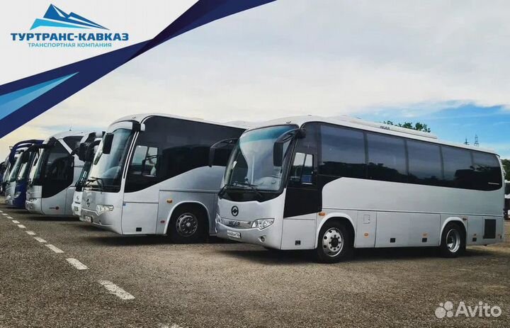 Заказ аренда автобусов микроавтобусов