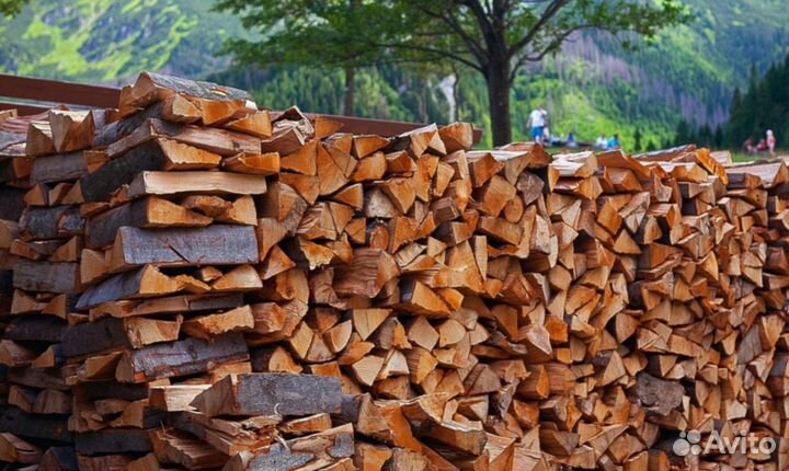 Дрова осиновые
