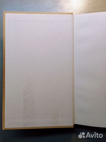 Тайша Абеляр 