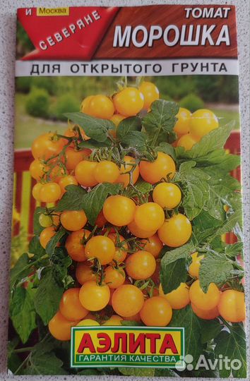 Рассада балконных томатов