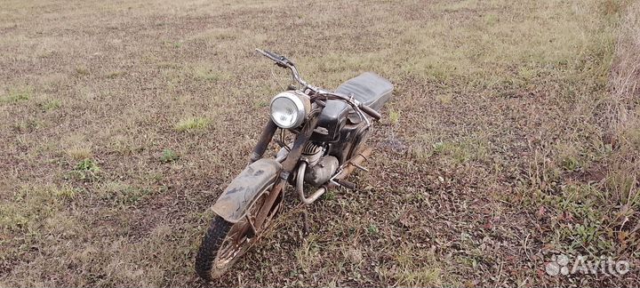 Восход ковровец