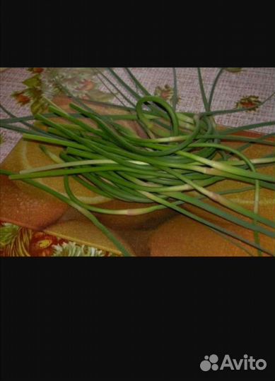 Чесночные стрелки