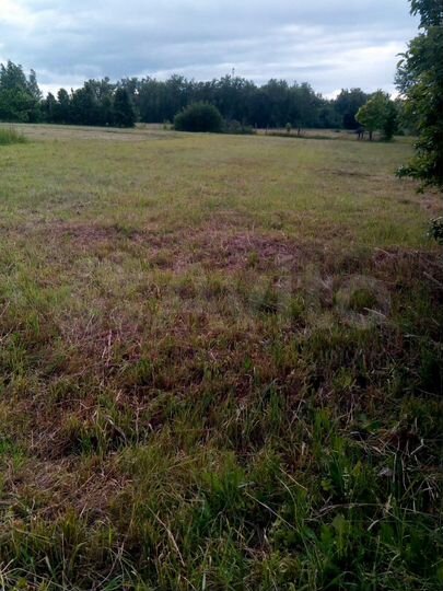 Участок 32 сот. (личное подсобное хозяйство (лпх))