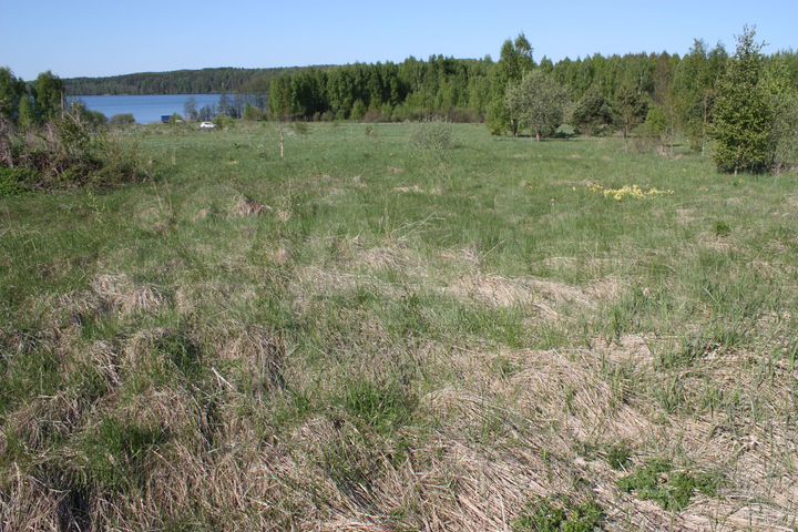 Участок 2,4 га (ИЖС)