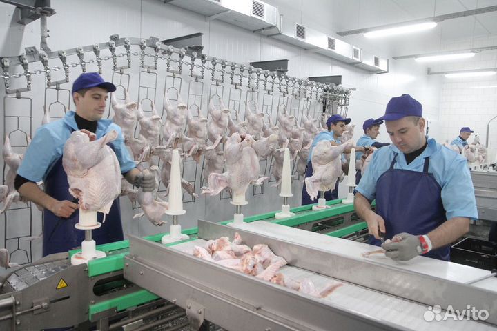 Разнорабочие в мясной цех(индейка) Вахта Без опыта