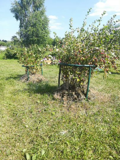 Дом 54 м² на участке 40 сот.