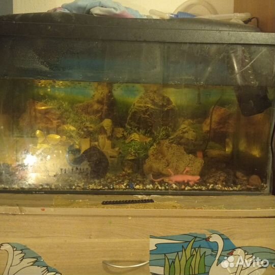 Аквариум