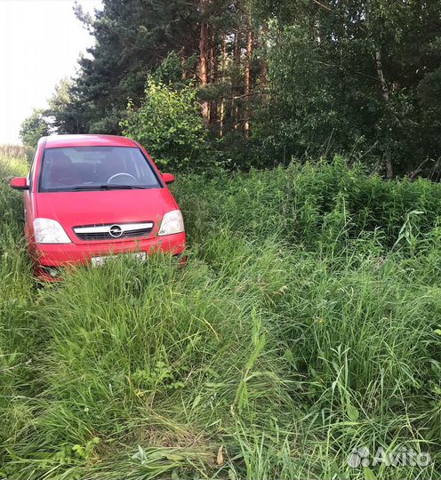 Продам лапчатку серебристую