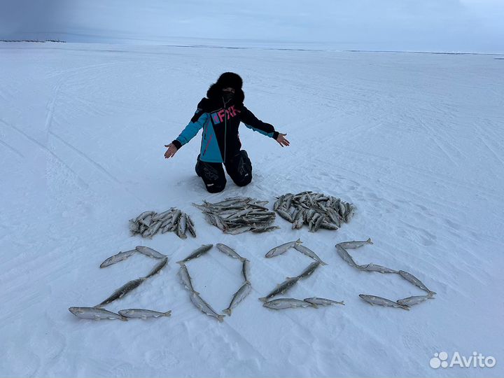 Зимняя рыбалка на Камчатке