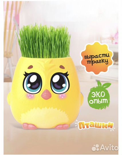 Набор для опытов пташки - выращиваем травку