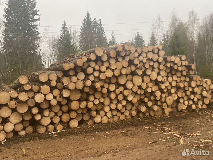 Лес кругляк пиловочник