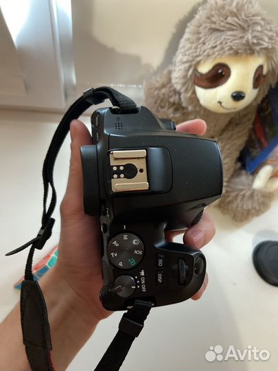 Зеркальный фотоаппарат Canon EOS 250D Body