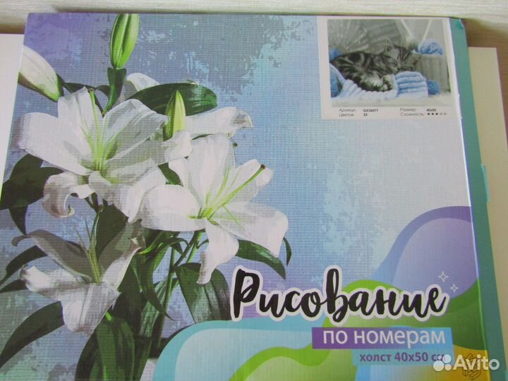 Картина по номерам. Не раскрашенная