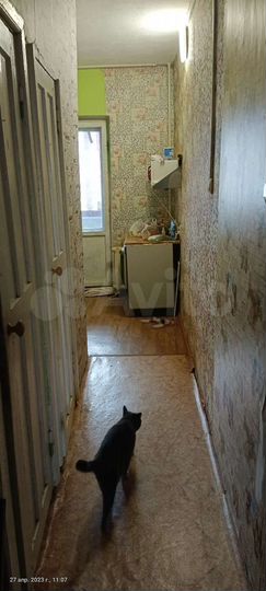 4-к. квартира, 79,5 м², 2/5 эт.