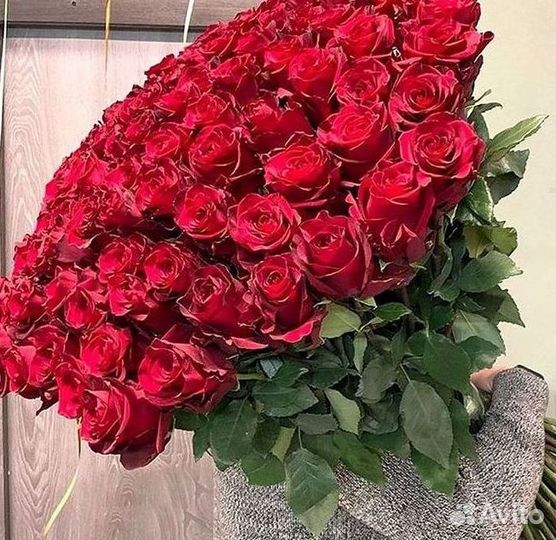 Высокие Розы Гиганты Доставка Круглосуточно