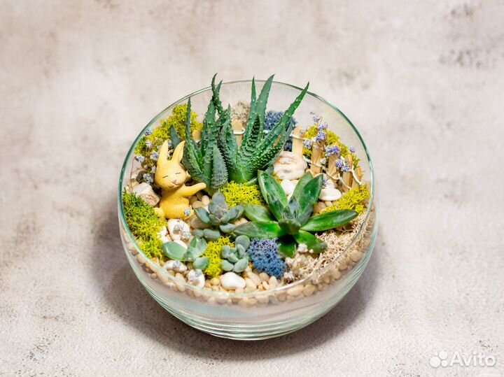 Флорариум зайка