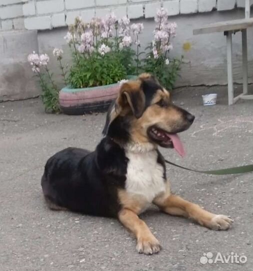 Джуля