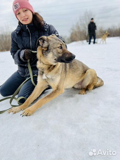 Тедди ждет семью