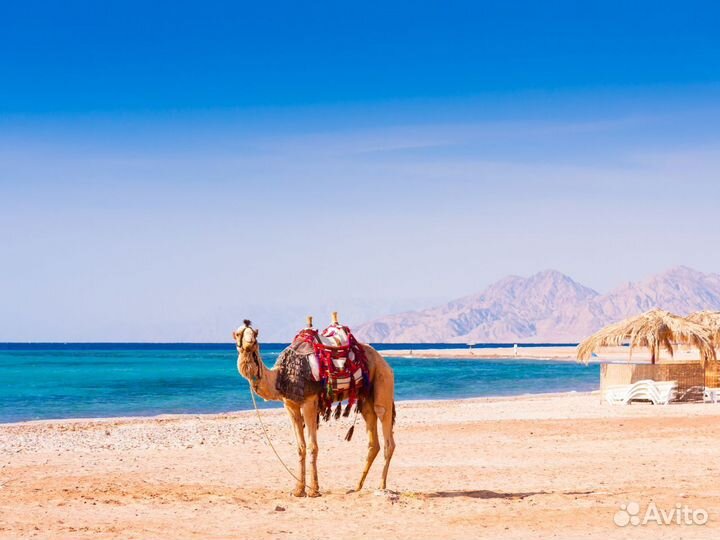 Тур в г. Хургада на 6 ночей за двоих чел