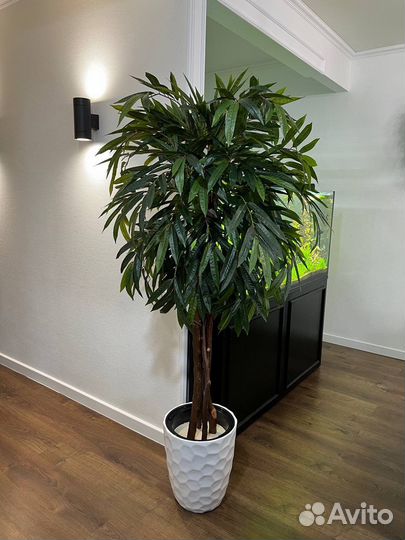 Искусственные деревья / фитокартина Тольятти