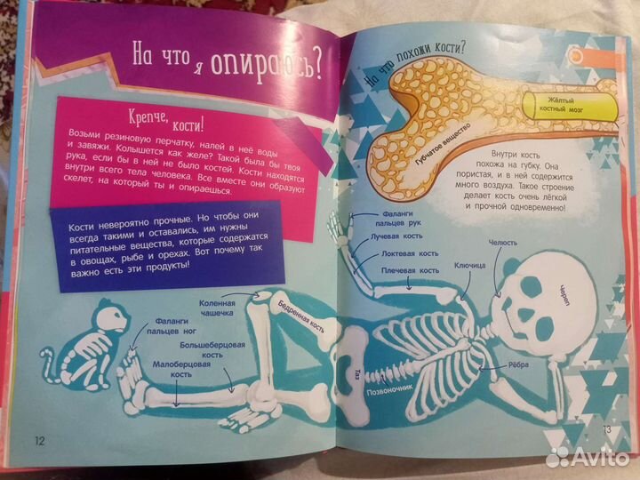 Энциклопедия о теле человека