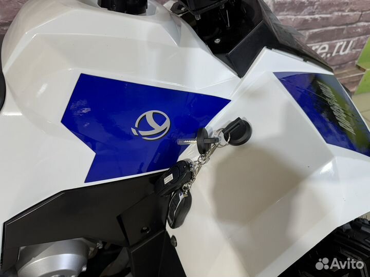 Квадроцикл Yacota Raposa 110 LD